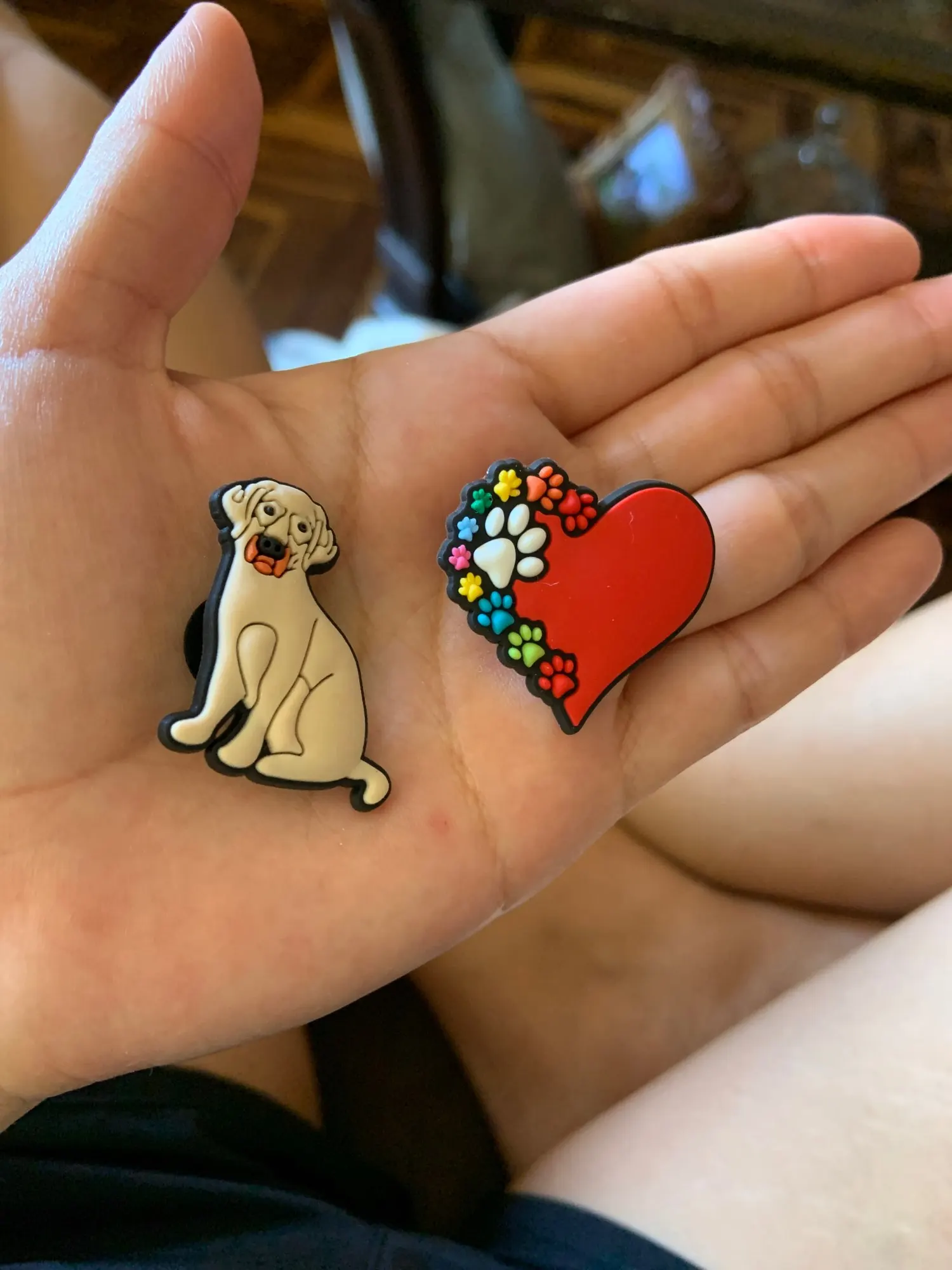 Рисунок 5 - собака корги бульдог обуви талисманы аксессуары