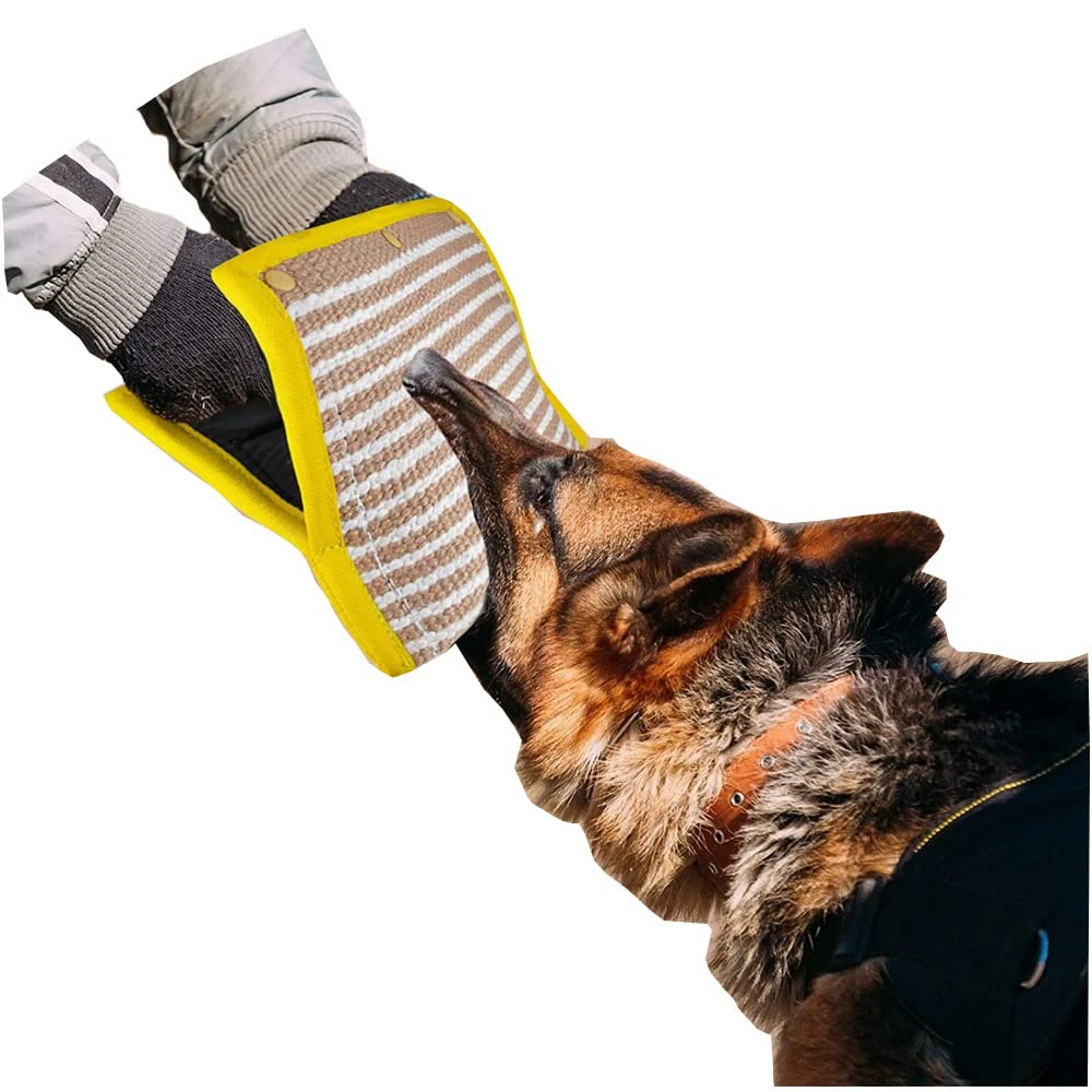 Dog Biting Pads Of Feet visitchile.cl