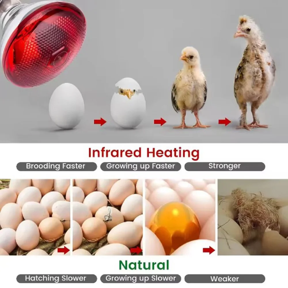 Breeding Heating Lamp E27 220V 100-275 Watts Infra Red Heat Poultry Brooder Chicks Hatching Puppies Piglet Bulb lLighting