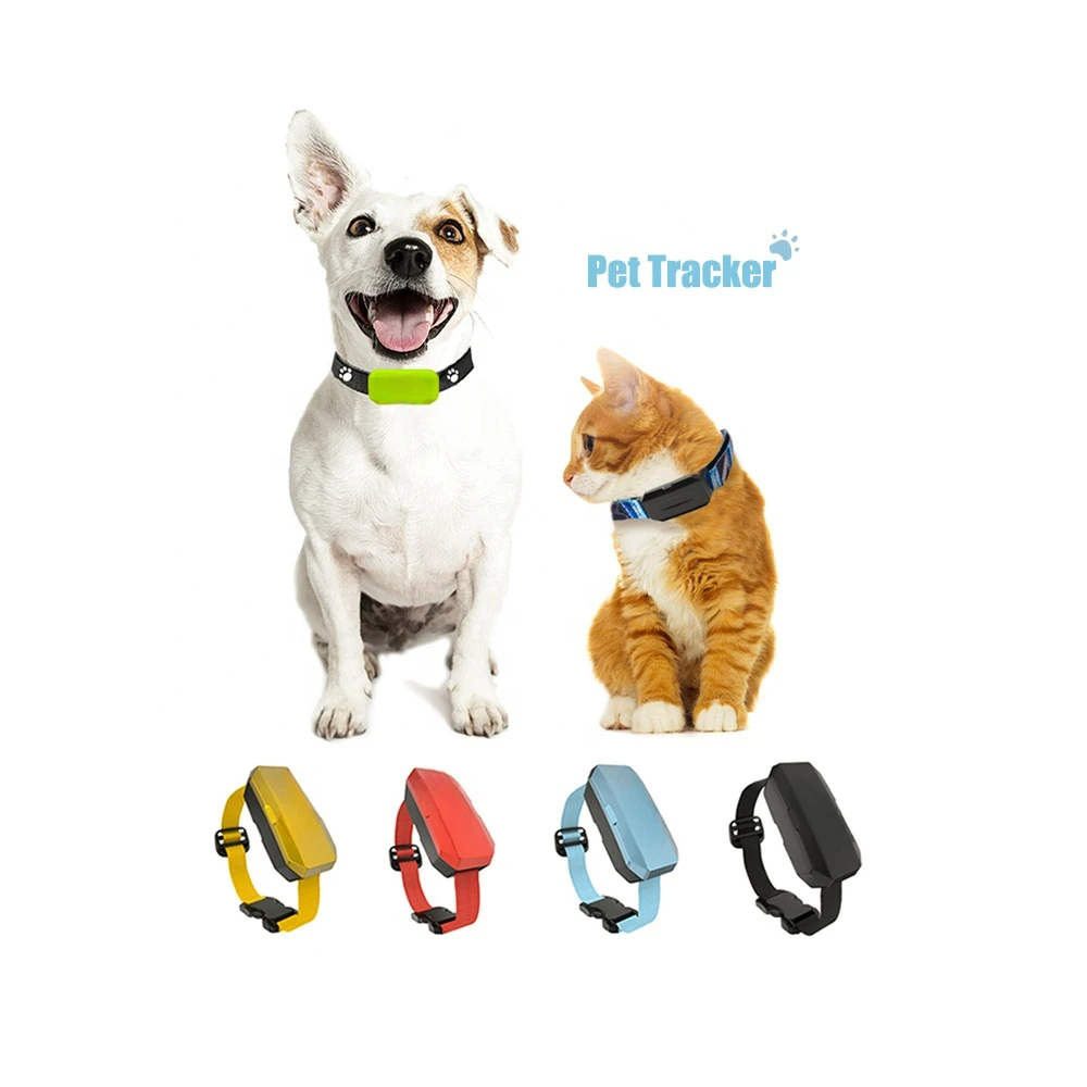 

Sensor 4G Cat Locator Waterproof Mini Tracking Device Adjustable Small Size GPS Pet Smart Collar