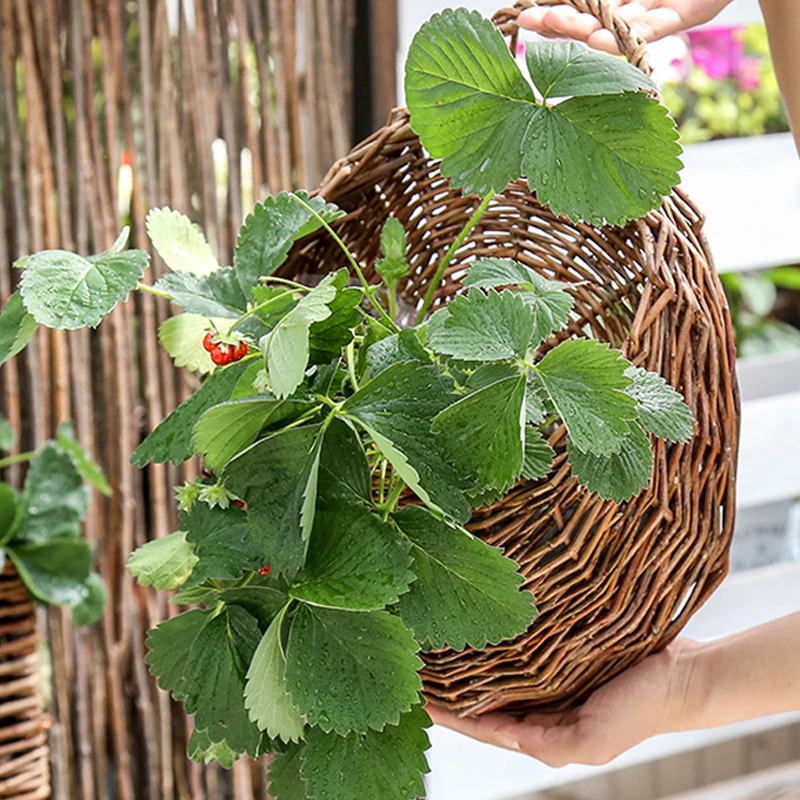 Handmade Woven Hanging Basket Storage Home Garden Flower Pot Hanging Wall Basket Wicker Rattam Vine Pot Indoor Plants Holder