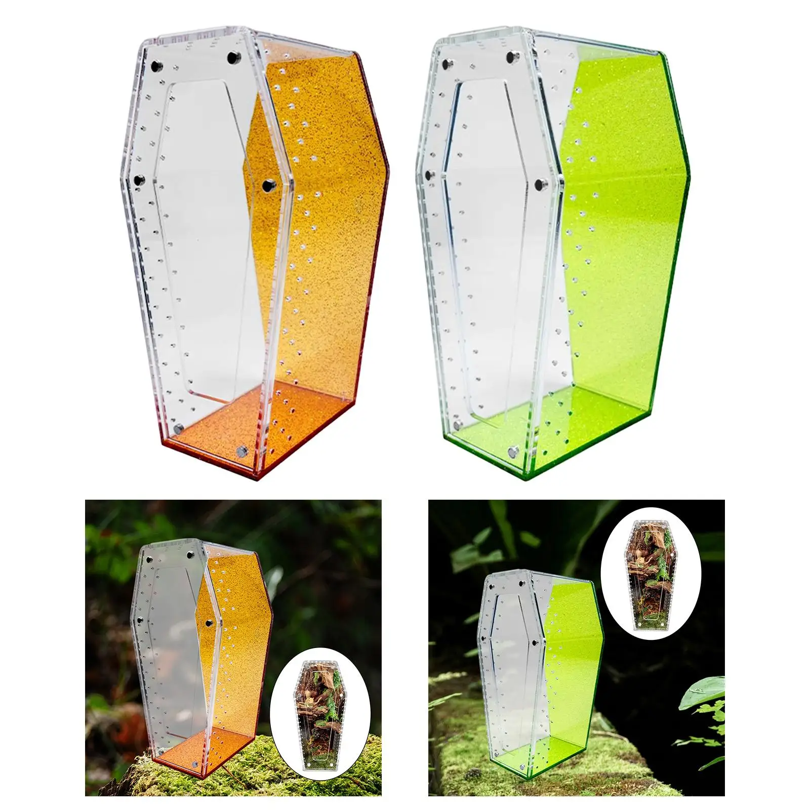 Small Acrylic Terrarium Accessories Spider Cage Coffin Shaped Tank for Reptile Amphibian Vivarium Display