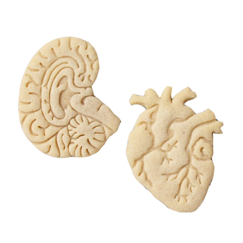 Internal Organ Cookie Embosser Mold Brain Heart Liver Stomach Fondant Cookie Cutter Medical Science Biscuit Mold DIY Baking Tool cookie cutter baking mold cookie mould cookie printing mold fondant cutter
