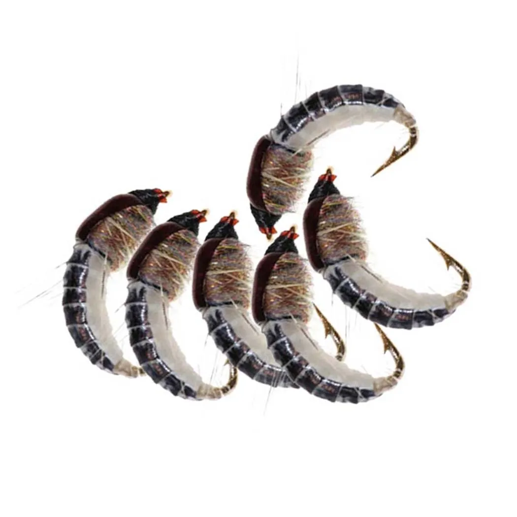 6/12 Stück # 10Caddis Pupae Nymph Fly Forelle Angelköder Künstliche Insektenköder Angelhakenköder – Detail 10