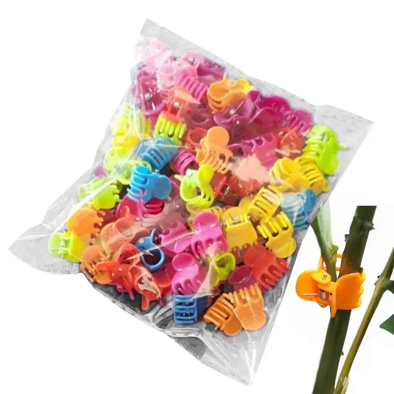 

Plant Support Clips Reusable Garden Cable Ties Grafting Fixing Tool Vine Strapping Buckle Ring Holder Garden Decor Accessories