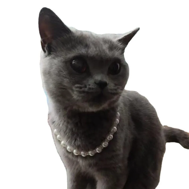Collari per cani con strass Collare per gatti Bling Chihuahua Collare per cani di piccola taglia Ciondolo in osso Cucciolo Tracolla Collari per animali domestici Per cani Gatti S / M