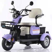 Factory Price 500W 60V Electric Trike with Adjustable Seats Open Body Electric Tricycles for Adults
