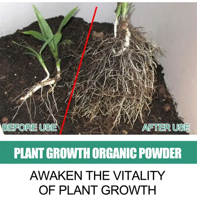 A Növénynövekedés És Fejlődés Átfogó Szabályozása Növény Táplálkozási Por Erősítse Gyökérnövekedés Szerves Műtrágya
