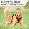 Dog Collars Harness Big Vests Leash Pet Shop Everything for Dogs Leather Puppy Accessories Medium Small Set 3
