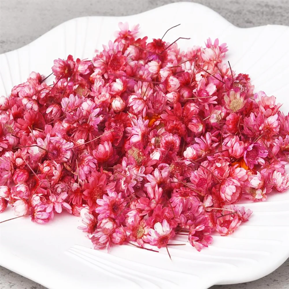 Hot Sale Dried Flowers Diy Art Craft Epoxy Resin Candle Making Jewellery  Home Party Decorative Dry Press Flowers Photo Prop