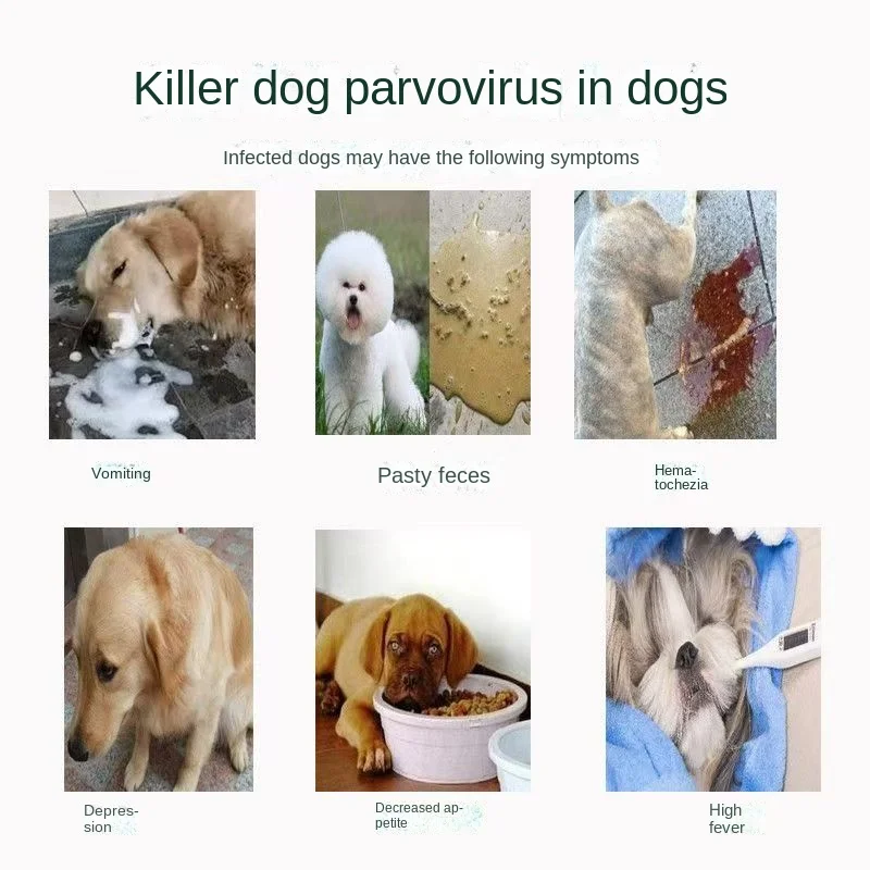 Dog test paper dog small test paper dog diarrhea vomiting blood quick