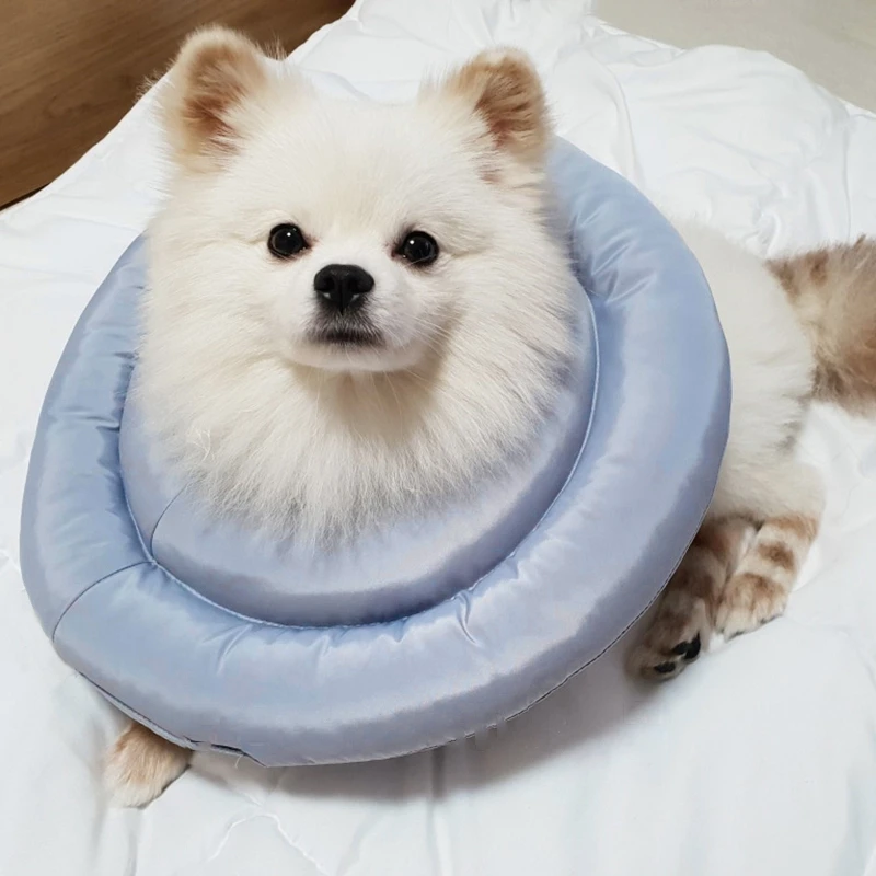 고양이 엘리자베스 칼라 고양이 물림 방지 칼라, 욕실 방수 강아지 고양이 보호 커버, 애완 동물 용품