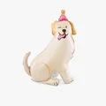 Labrador