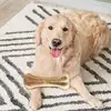 Artificial Cowhide Bone Dogs' Chewing Toys Bite Resistance Molar Teeth Clean Stick Food Treats Dogs Bones For Medium Large Dogs 3