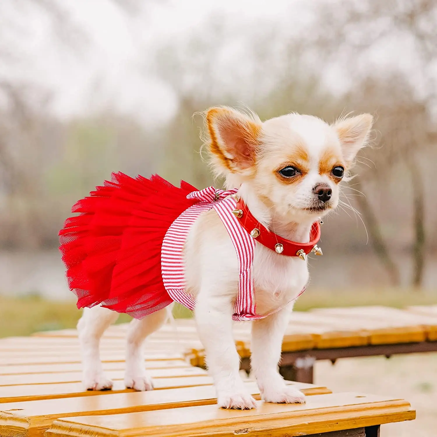 Pet Dress Pet Dog Clothes Cute Small Medium Cat Dog Princess Dresses Puppy Bow Knot Dress Pet Tutu Dresses Striped Mesh Puppy Dog Princess Summer