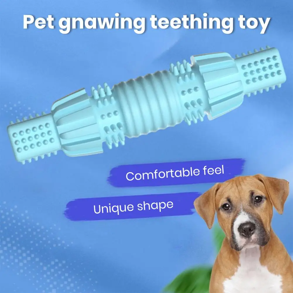 

Pet Toy Durable Dog Chew Toy Stress Relief Energy Release Teeth Ideal for Chewers Small to Medium Breeds Teeth Puppy Toy