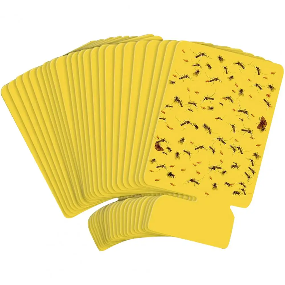 24Pcs Mosquito Sticky Card Flying Insect Trap Refill Kit Plug-In Fly Trap Carte Di Colla Appiccicosa Flying Insect Catcher Sticky Kit
