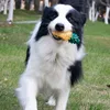 Pet Squeaky Chew Toy Dog Teeth Cleaning Toy Watermelon Pineapple Lemon Fruit Shape Puppy Bite Resistant Toy Pet Supplies 3