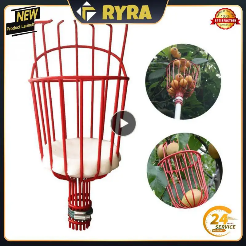 

Устройство для сбора фруктов, садовая фурнитура, пластиковый инструмент Bayberry, удобный Ловец фруктов, аксессуары, инструменты, высокая высота