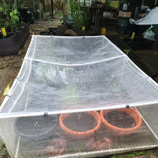 60 Mesh Vastag 3X3M ~ 10X10M Kerti Háló Növényi Kártevőirtó Hálónák Farm Gyümölcsös Gyümölcsök Fa Védelmi Fedélháló - Image 6