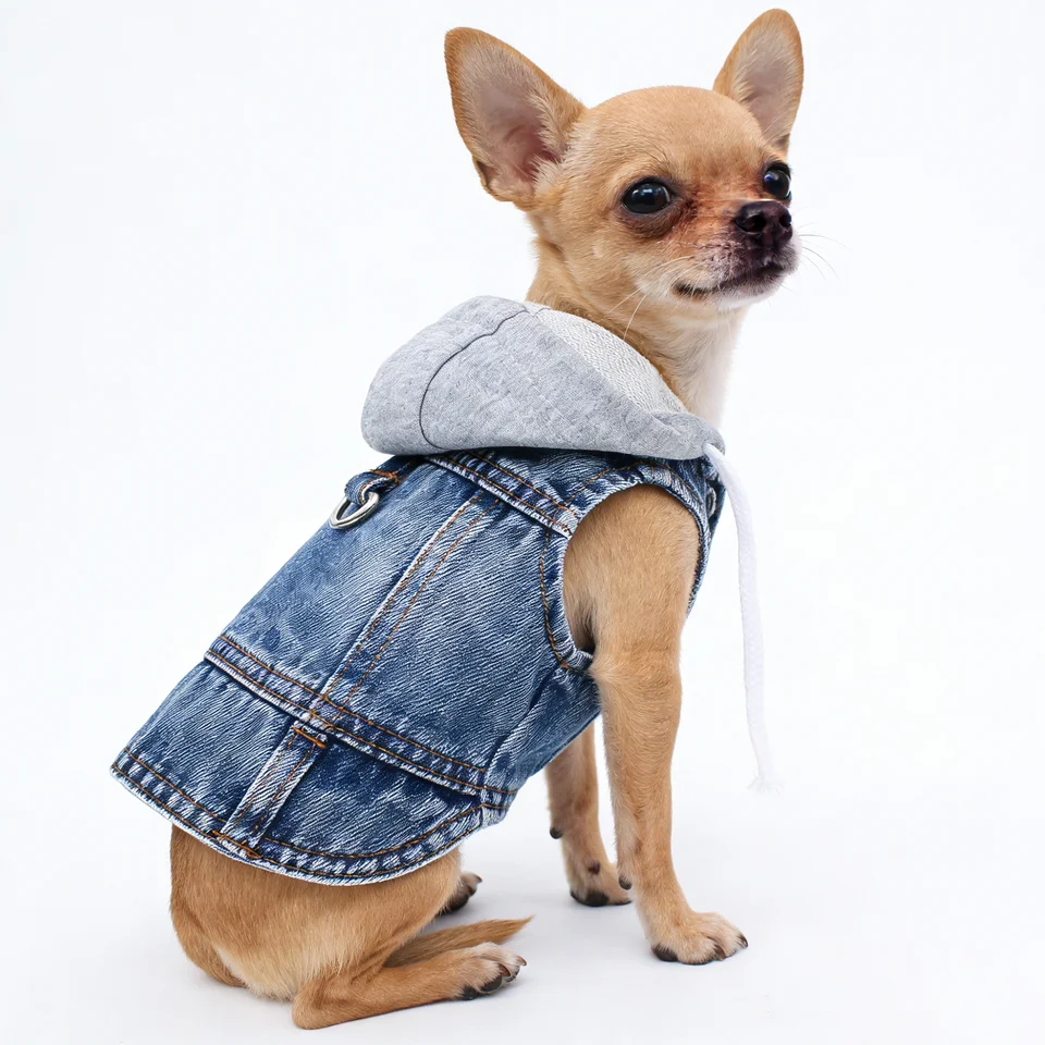 Small Dog Spring Denim Hoodie with Cap