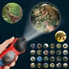 Dinosaur Projector Children's Early Education Light Toy Sleep Flashlight Underwater World Projection Lamp Baby Educational Toys 3