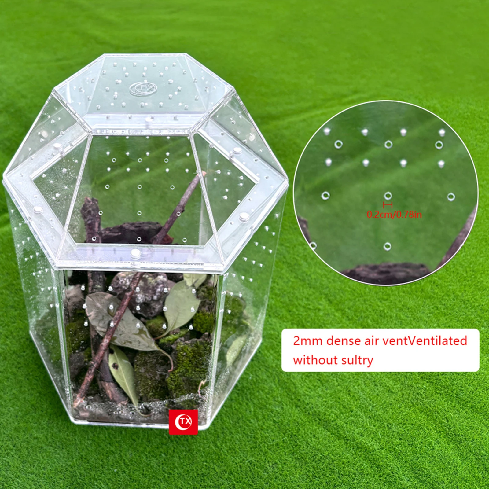 Terrarium Habitat Acrylic Bug Terrarium Full Transparency Mini Tarantula Enclosure All-Side Ventilation for Frog Crickets Snails