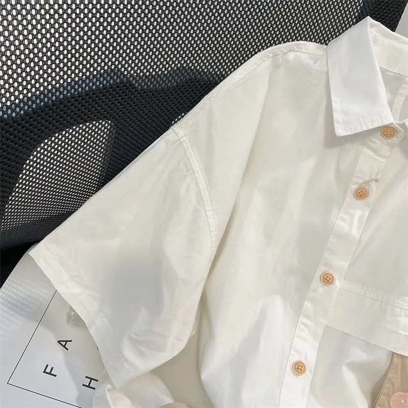 EBAIHUI French Vintage Flower Shirt Embroidered Design Short Sleeved Women's Blouse Summer Loose Flip Collar Hong Kong BF Blusas
