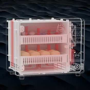 24 Eggs Incubator Fully Automatic Turning Hatching Brooder Farm Bird Quail Chicken Poultry Farm Hatcher Turner Incubation Tool 6