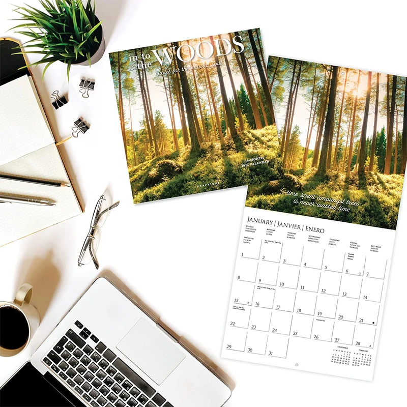 

2024 Wall Calendar Into The Woods Thick Paper Home Office Organizer Large Monthly Grid Marked Holidays Calendars 2024