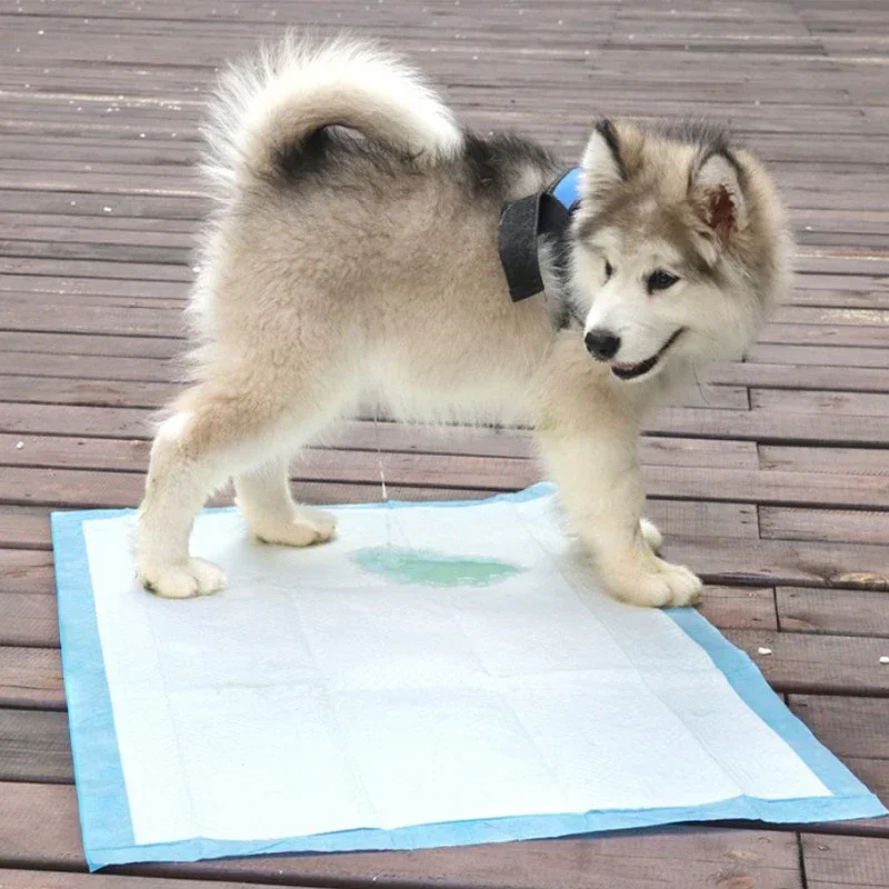 Title 9, Disposable Healthy Nappy Mat For Cats Dog Diape...
