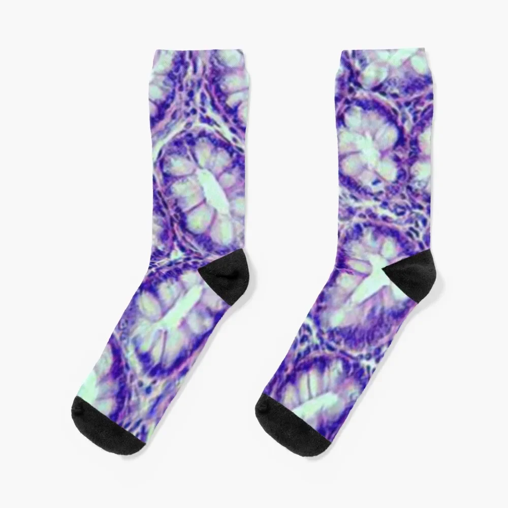 Lieberkhun - colon Socks hiking floral Women's Socks Men's