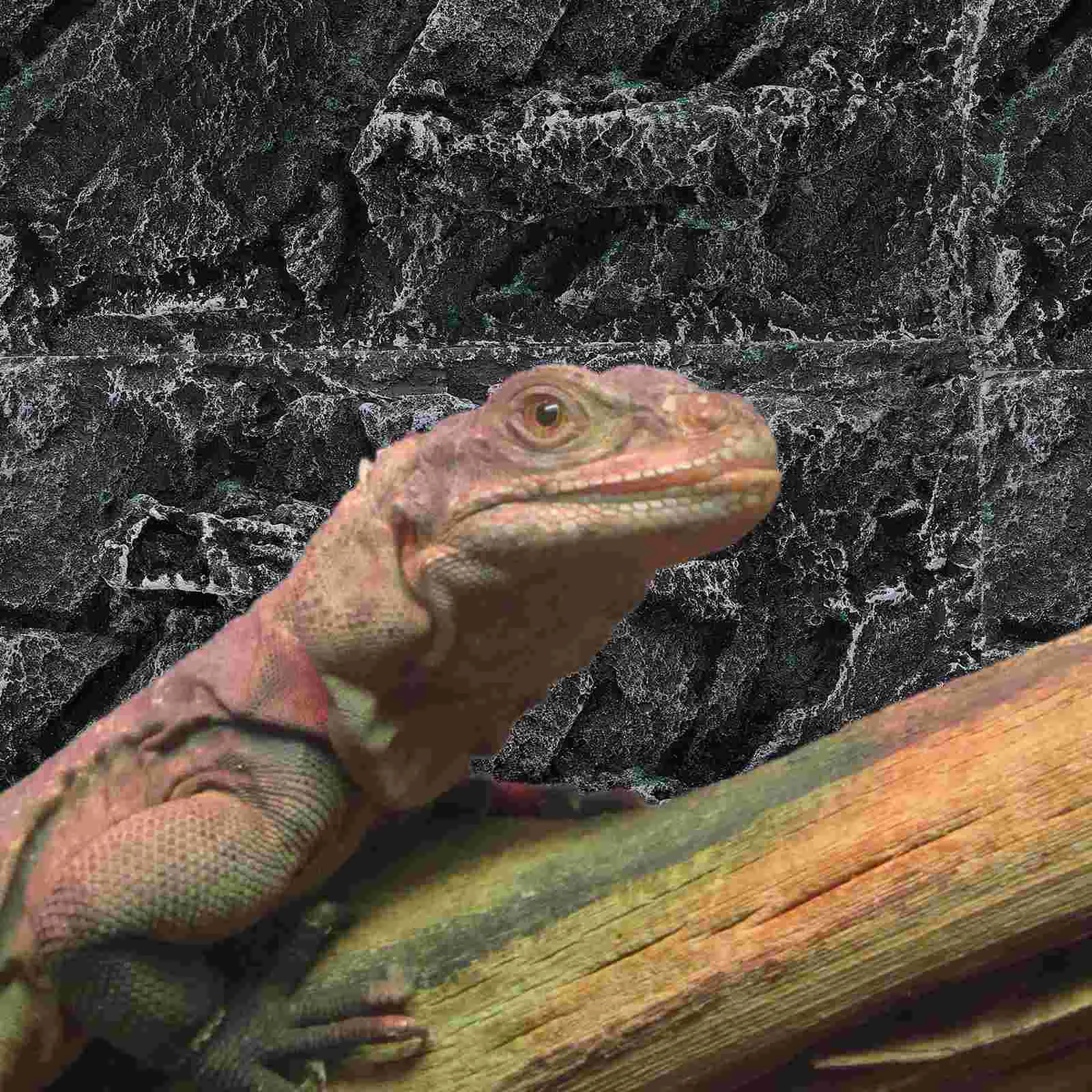 

Background Reptile Tank Board Terrarium Aquarium Snake Tile Cork Decorative Decor Lizardvivarium Box Accessories Decoration