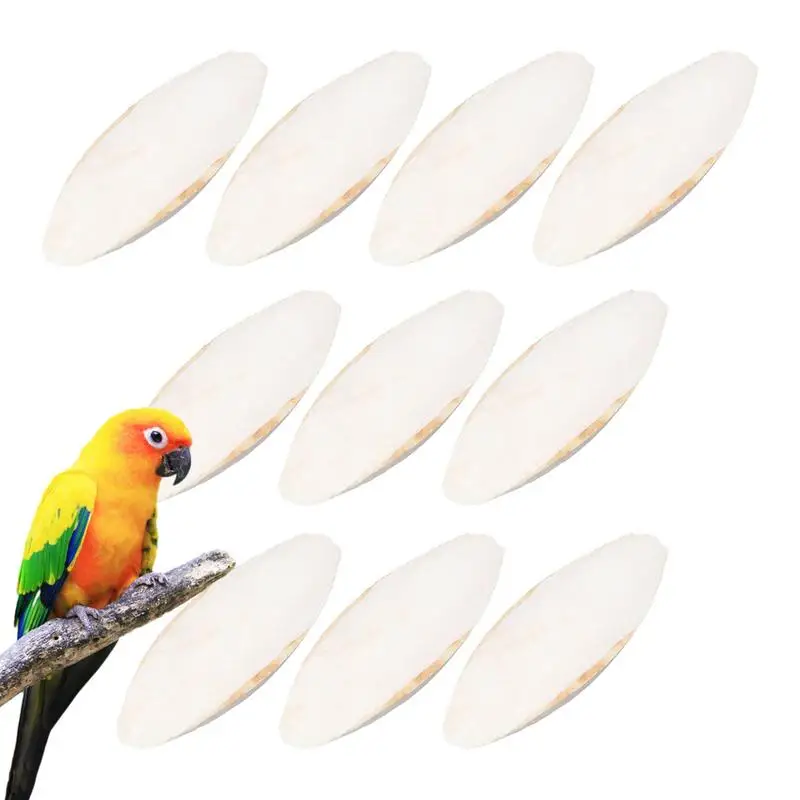 

10Pcs Cuttlefish Bone For Parrot Natural Cuddle Bone Chew Toys Chewing Cuttlebone Easy To Absorb Parrot Grinding Teeth Toy