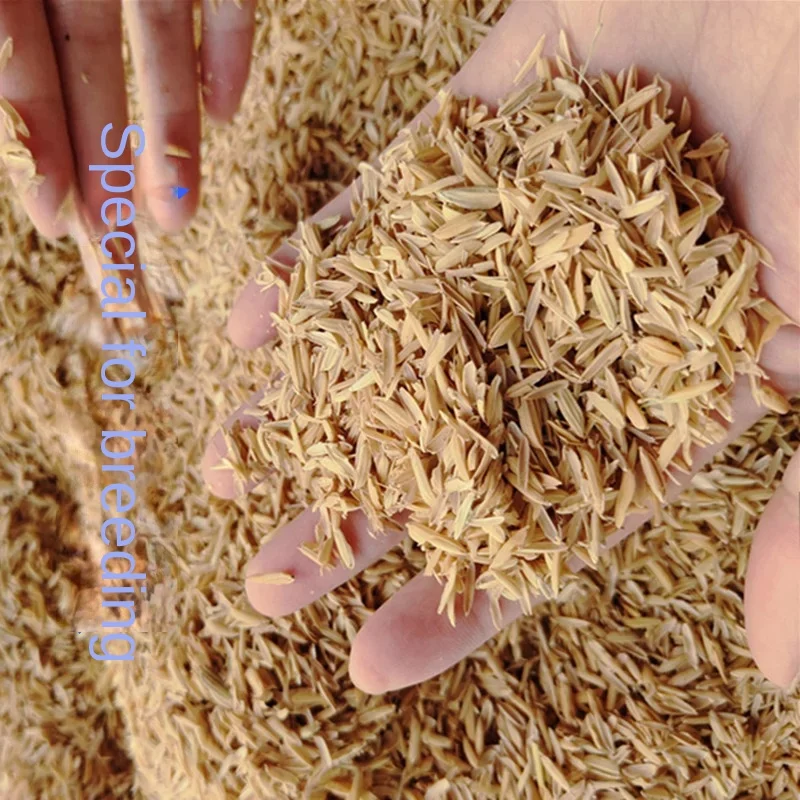 Organic Fertilizer 50g 100g 200g 25g Pure Natural Rice Husk Farmhouse Rice Husk Coarse Bran Pillow Fluffy Shell Chicken Fertilizante Para Plantas