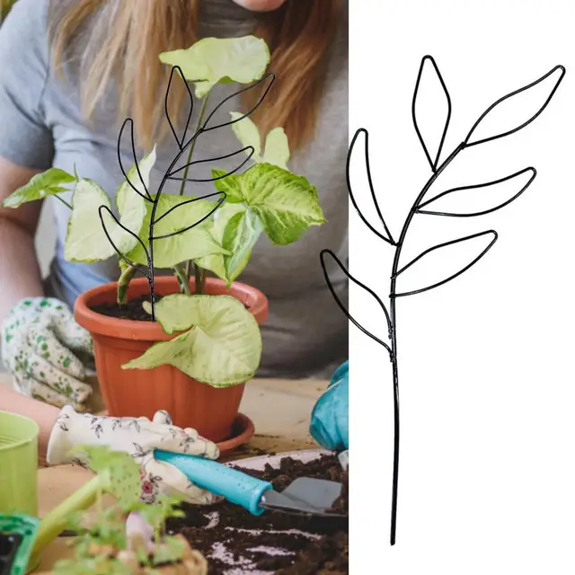Könnyen Beilleszthető Őszi Ellenálló Támogató Nagy Teherbírású Bonsai Hegymászó Állvány Kerti Dekoráció - Image 6