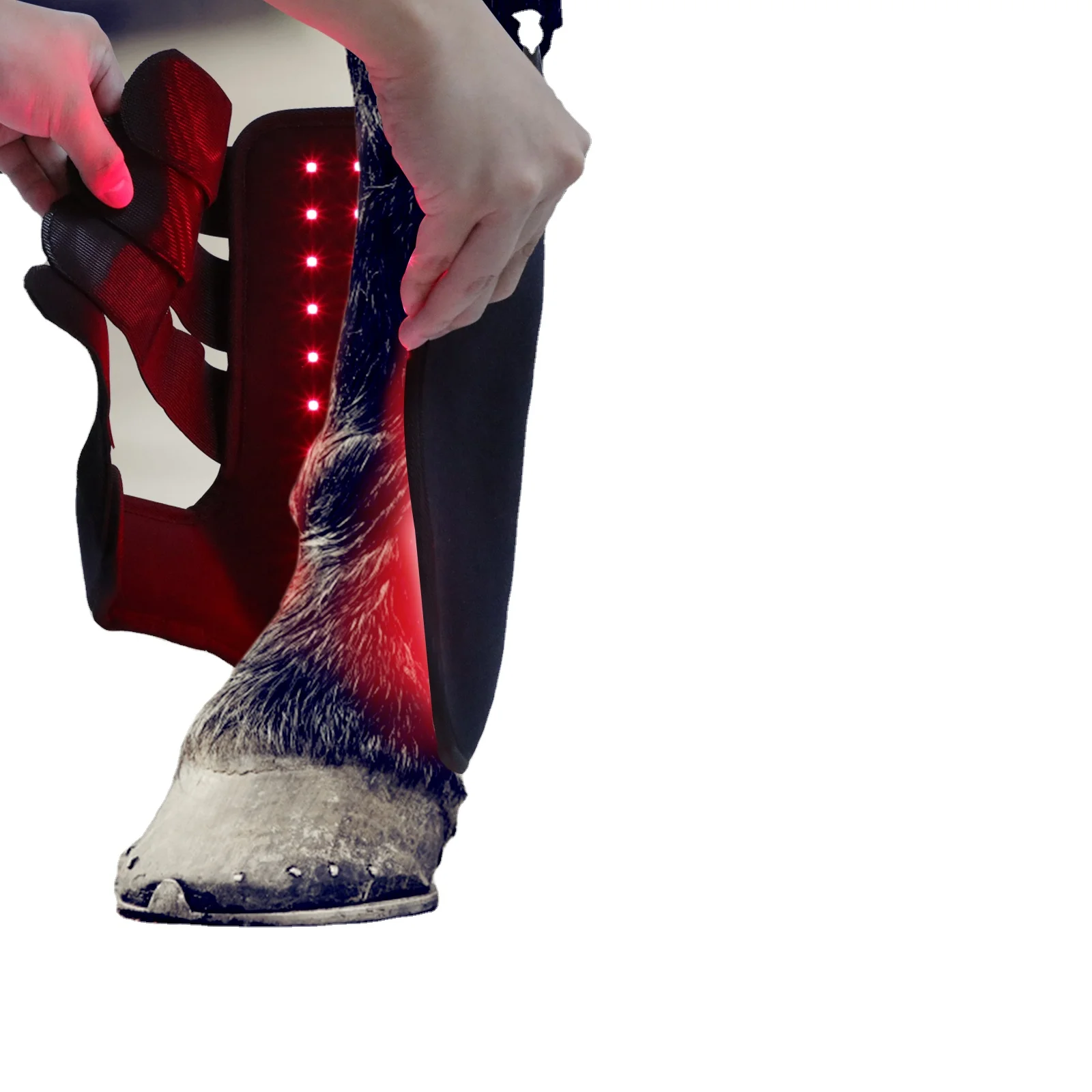 

LED equin 660 nm 850 nm NIR infrared therapy horse tendon boots horse