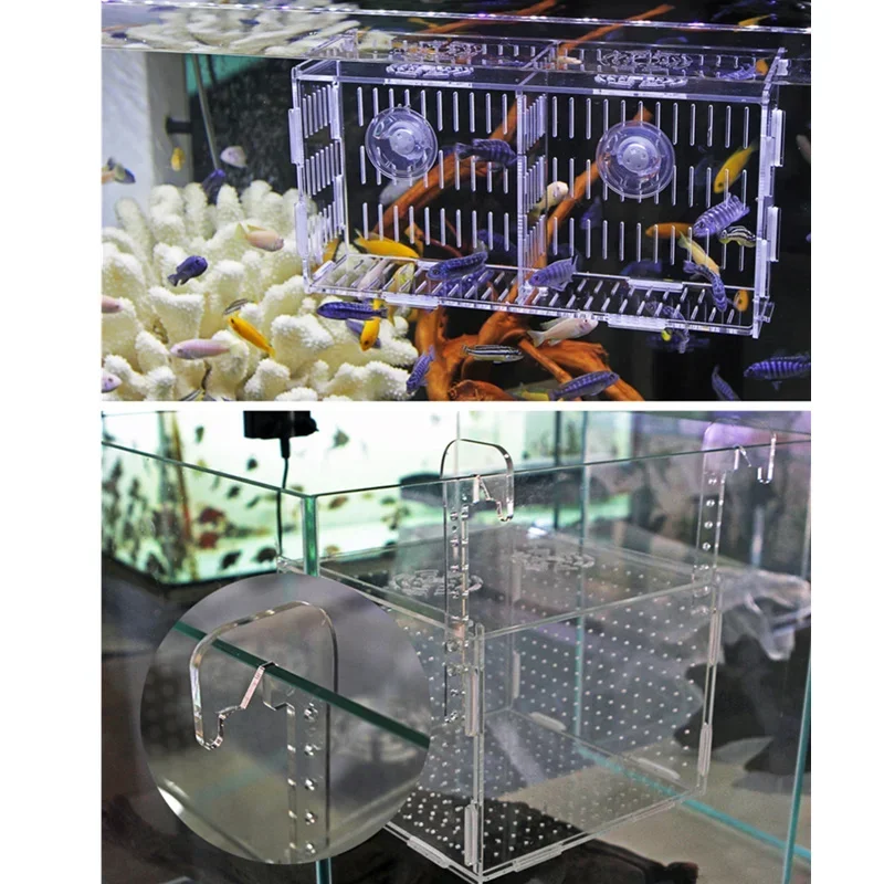 Acrylic Transparent Ornamental Betta Fish Isolation Boxes Wall-mounted Adsorption Incubator box Aquarium Breeding Fish Tank fish breeding box