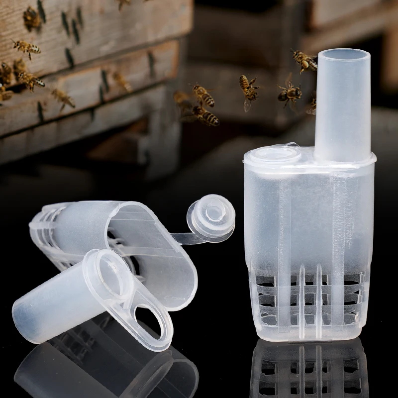 5/10Pcs Queen Bee Cages Beekeeping Protection Queen Bee Isolation Plastic White Move Beekeep Equipment Beekeeping Tool
