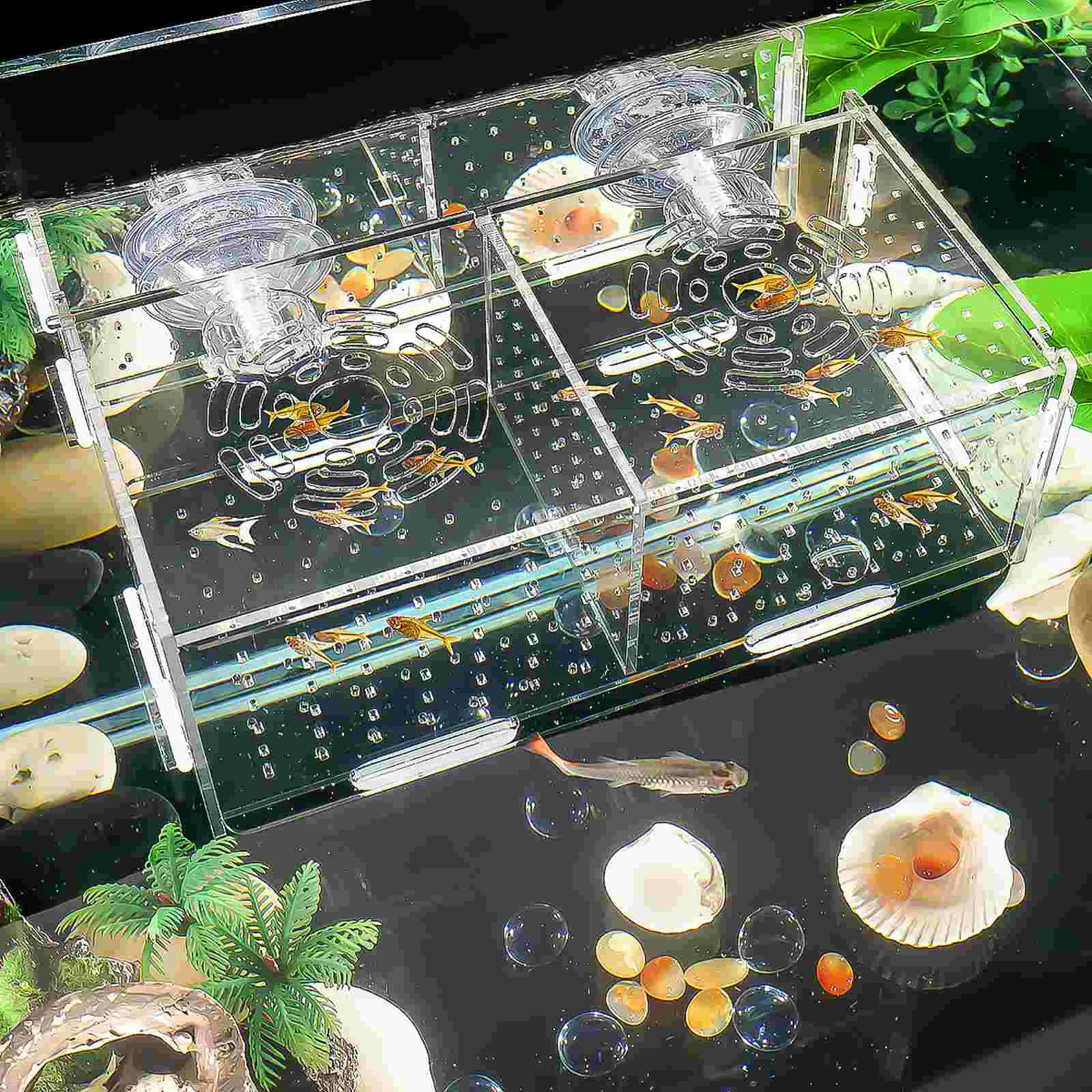 Acrylic Fish Tank Isolation Box Viviparous Breeding Aquarium Incubator Hatching Boxes Betta Guppy Juvenile Protection Pet