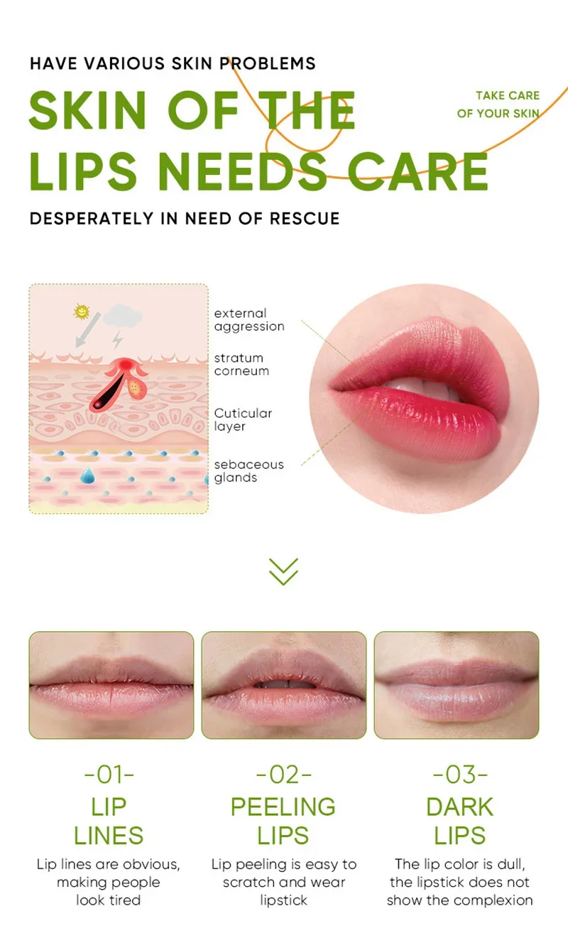 1pc Aloe Vera Moisturizing Lip Balm Moisturizing Nourishing Refreshing Lip Balm Lip Care With Plant Squalane 4