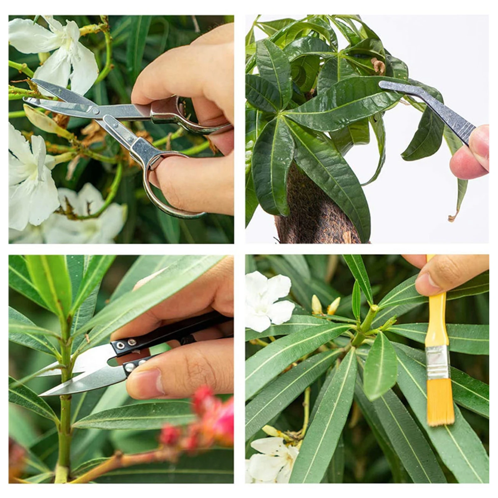 Slide image 86716f5553e04091903bdda28e9a0ba7