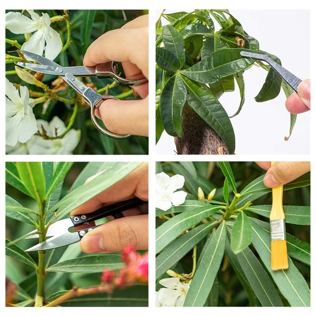 Juego de herramientas de jardinería para plantar bonsái, miniherramientas de mano para suculentas, piezas, 12 unidades - Imagen 3