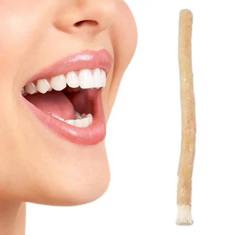 Disposable Toothbrush Miswak Stick Fresh Natural Tootbrushes Misvak Arak Siwak Tradational Healthy Natural Tooth Scrub Brightener for Oral Health