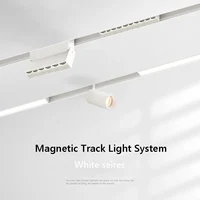New White Magnetic Track Light DC48V LED Downlight Spot Flood Grille Lamps Smart Tuya Zigbee Mordern Home Livingroom Free Design 1