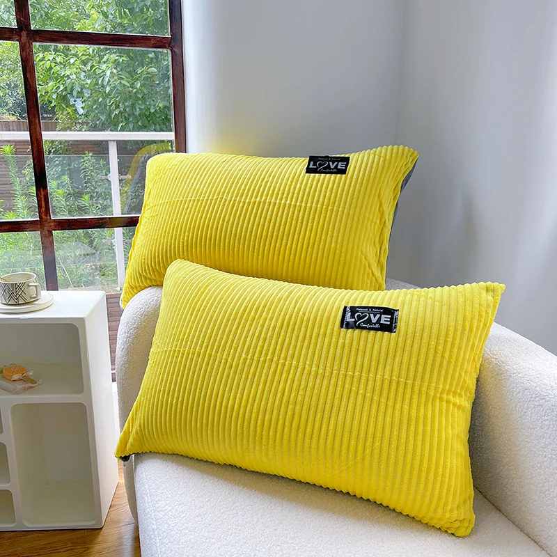 Simple coral velvet soft rectangular 2PCS pillowcases A pair 48x74cm pillow Cover adult zipped pillow case for bed or bedroom