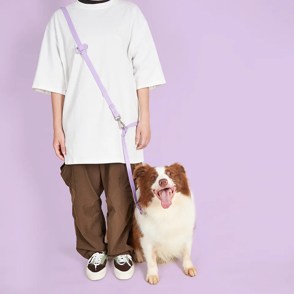 Dog Leash For 2 Dogs 7.7 Ft Dual Handle Dog Leash - Waterproof Hands-Free Crossbody Leash For Medium & Large Dogs (Purple) Hands-free Leash