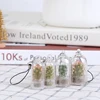 DIY Cactus Miniature Succulent Cactus Terrarium Wearable Necklace Live Succulent Plant Pendant Random Style 5