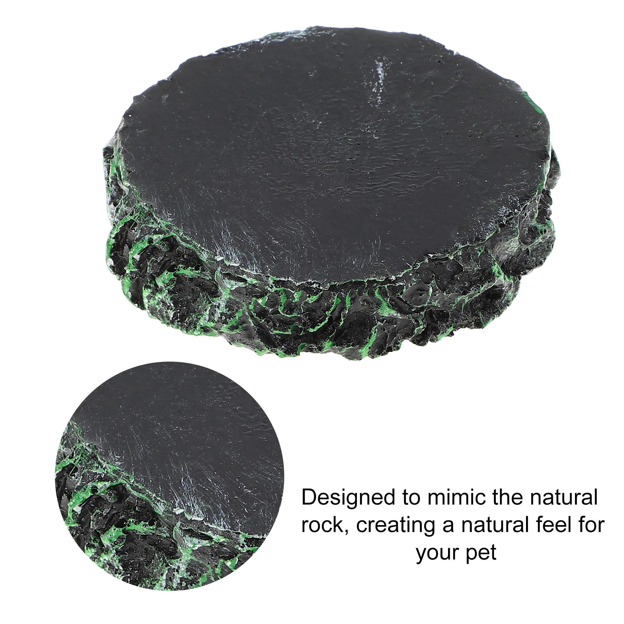 UXCELL Reptile Pet Bowls Feeding Tools Worm Dish Cereus Food Feeder Water Dish Resin Bowl Frog Gecko Spiders Turtles Reptile