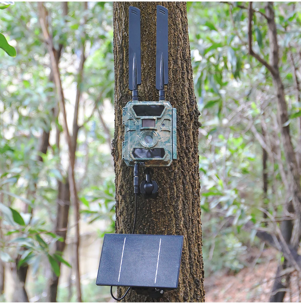 Computers e Electronics